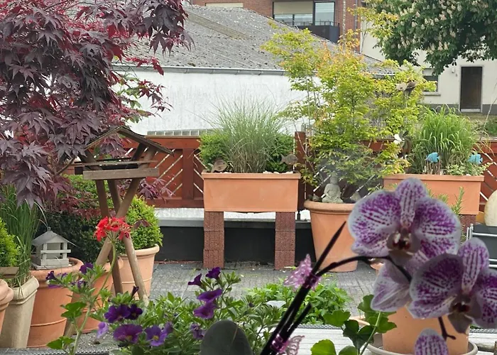 ガストハウス ウォルシュハイド トリーア