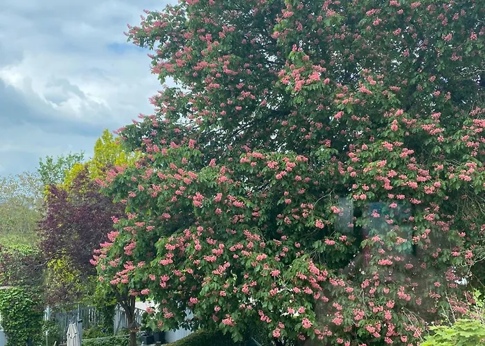 ゲストハウス ガストハウス ウォルシュハイド