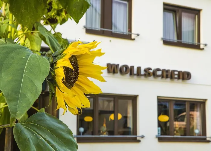 ガストハウス ウォルシュハイド